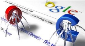 kiểm tra google index.jpg