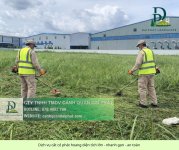 cắt cỏ diện tích lớn giá rẻ 19042026 2.jpg