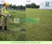cắt cỏ diện tích lớn giá rẻ 19042026 3.jpg