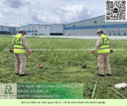 Dịch vụ cưa cây cắt cỏ doanh nghiệp đồng nai 050226 1.jpg
