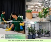 Chăm sóc cây xanh văn phòng - vệ sinh văn phòng 090626 1.jpg
