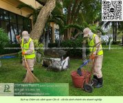 Dịch vụ chăm sóc cây xanh - cắt cỏ doanh nghiệp đồng nai 270526 3.jpg