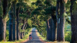 fdeb7cde-hang-thong-tram-tuoi-bien-ho-che-thumbnail.jpg