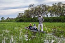 Best 5 Affordable Botswana Safari Deals.jpg