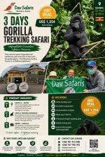 3 Day Trek Gorillas in Uganda Bwindi National Park.jpeg