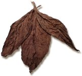 Ecuadorian Cuban Seed Seco Wrapper.jpg