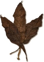 Pennsylvania Broadleaf Ligero Wrapper.jpg