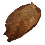 Kentucky Fire Cured Tobacco Leaves 3.jpg