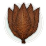 Pennsylvania Broadleaf Tobacco.jpg