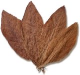 French Burley Wrapper tobacco.jpg
