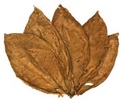 Orient Samsoun Tobacco Leaves.jpg