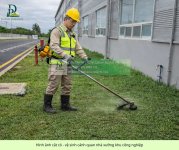 cắt cỏ dọn dẹp vệ sinh cảnh quan 1.jpg