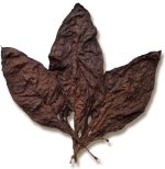 Mexican Oscuro Binder Tobacco.jpg