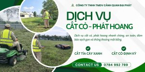 0. dịch vụ cưa cây cắt cỏ 070426 2.jpg