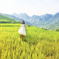 Linh Tạ