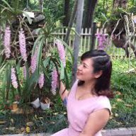 Nguyễn Thị Hồng Nhung