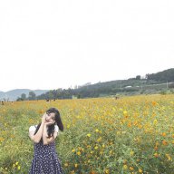 Hạnh Sư