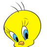 perryellyse