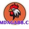 xemdaga88